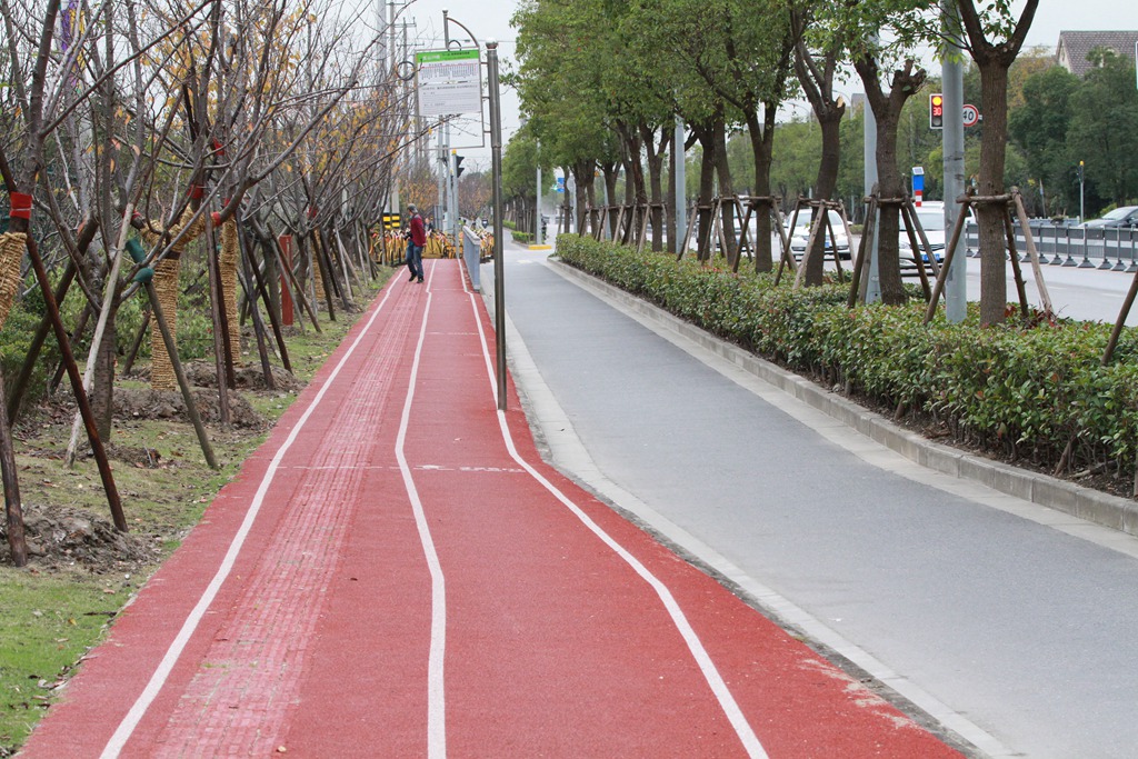 宝山顾村镇顾村公园2号门市民健身步道.JPG