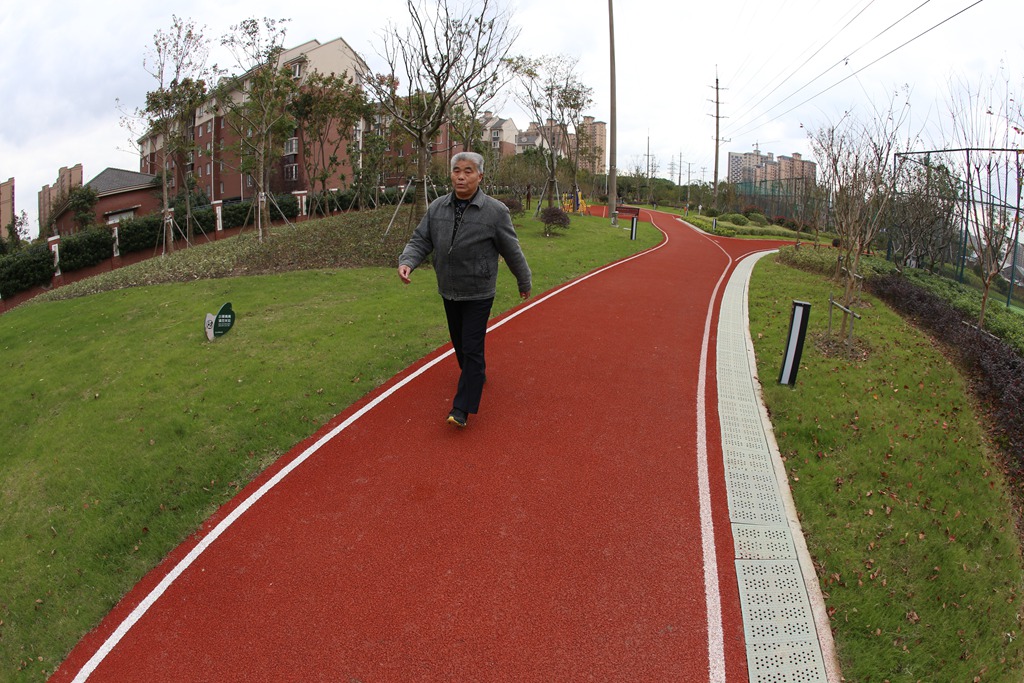 嘉定菊园新区北水湾主题公园市民健身步道.JPG