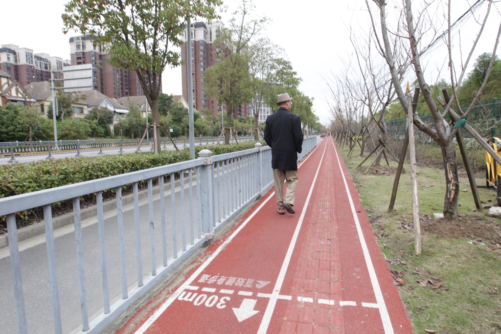 宝山顾村镇顾村公园2号门市民健身步道.JPG