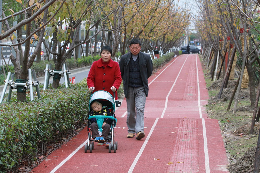 宝山顾村镇顾村公园2号门市民健身步道.JPG